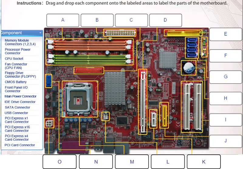 Q 52422  Drag And Drop Each Component Onto The Labeled